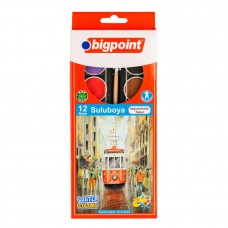 Bigpoint Suluboya 12+1 Renk (Değiştirilebilir Tablet)